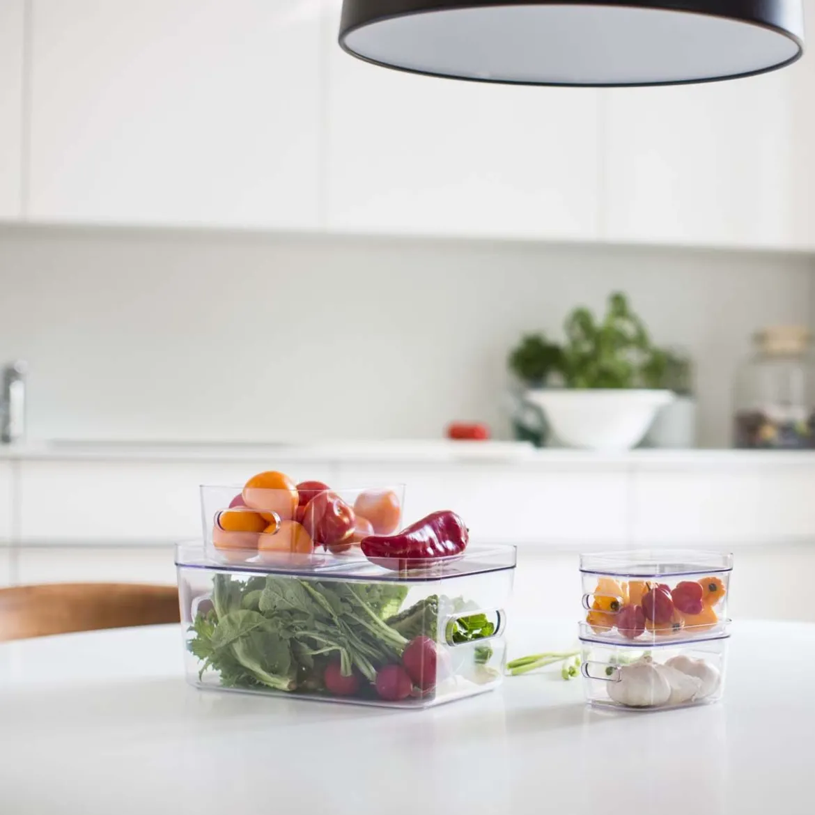 Boîte de rangement transparente pour réfrigérateur M