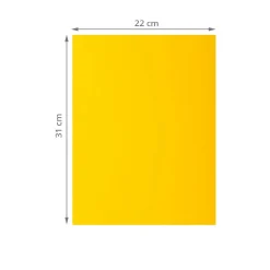 100 sous-chemises papier